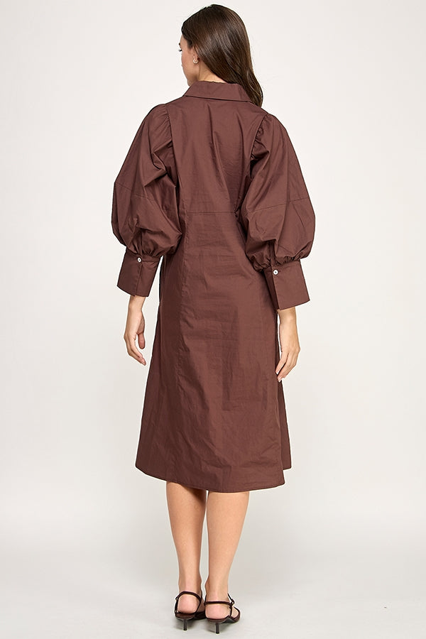 RD284_BROWN