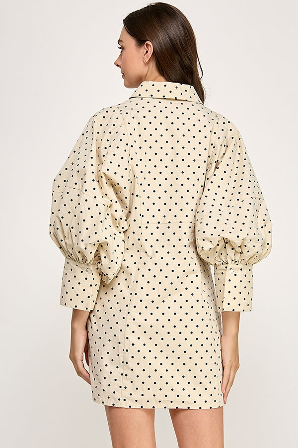 REMI245-P_TAUPE POLKA