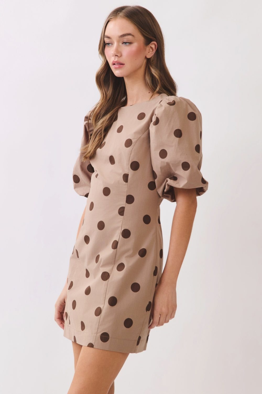 RD278_BROWN DOT