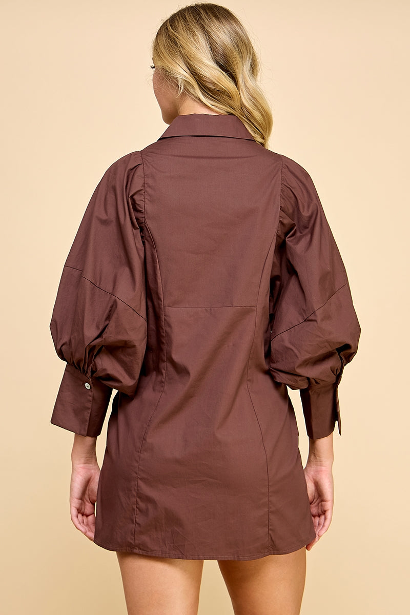 REMI245_BROWN