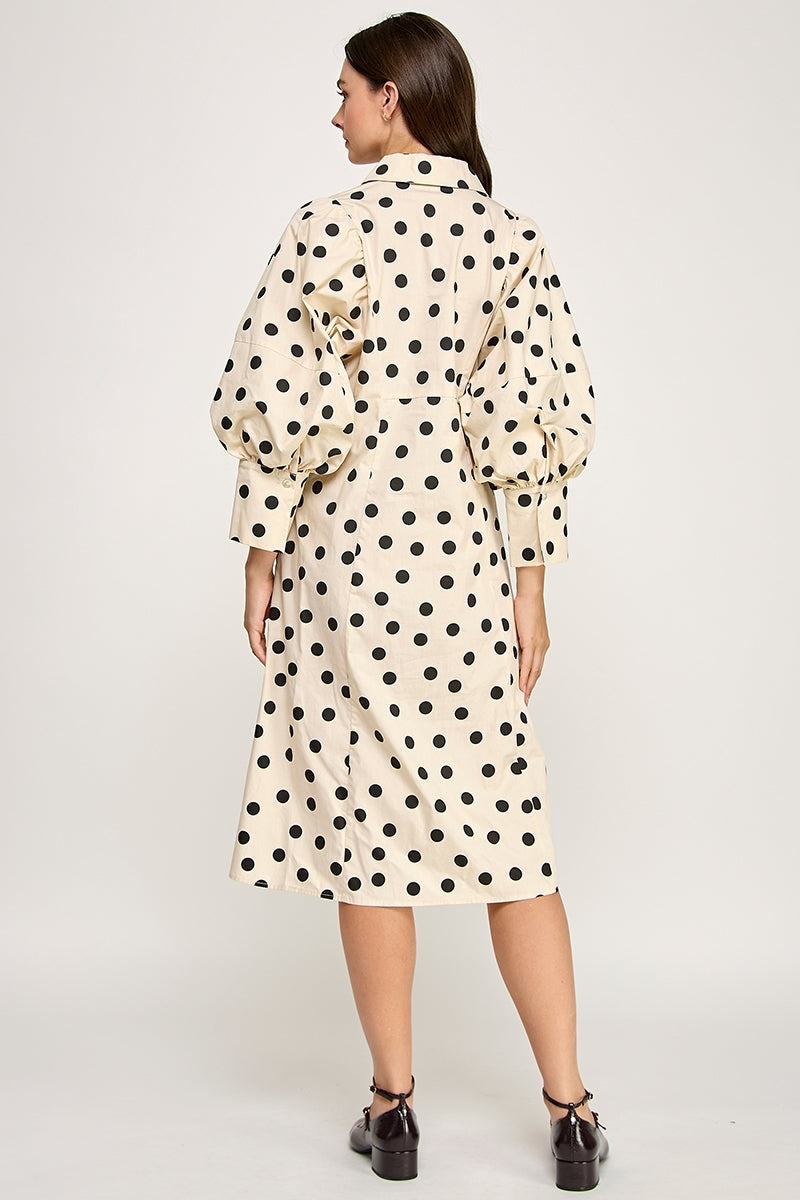 RD284-P_TAUPE POLKA