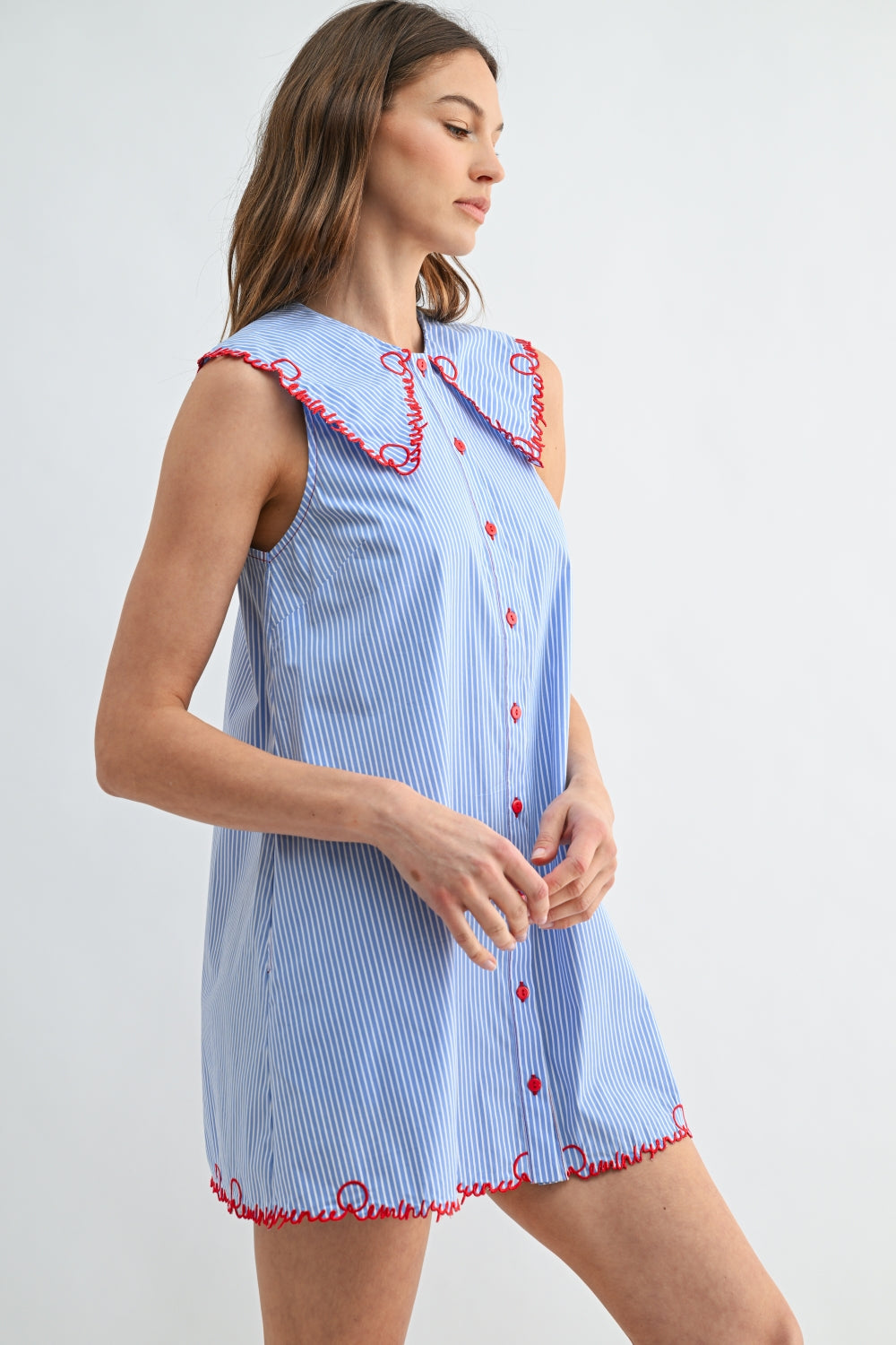 RD355_BLUE STRIPE
