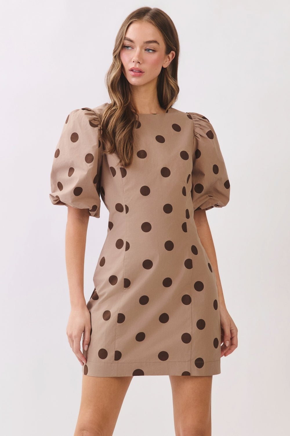 RD278_BROWN DOT