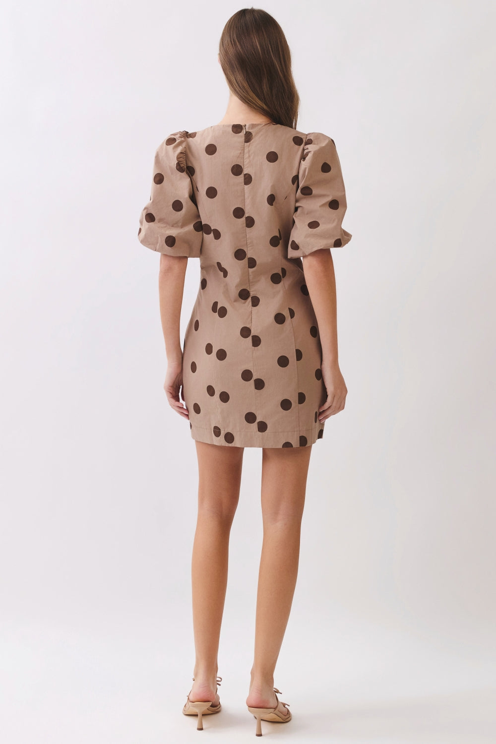 RD278_BROWN DOT