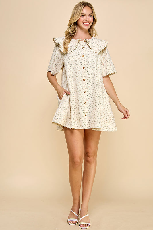 Big Collar Shift Mini Dress