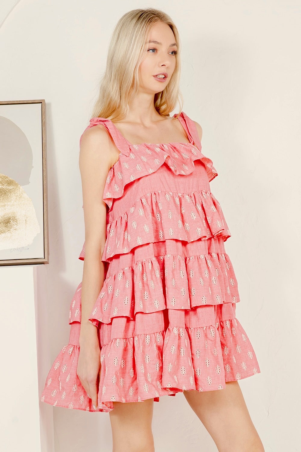Ruffle Tired Embroidered Cotton Mini Dress