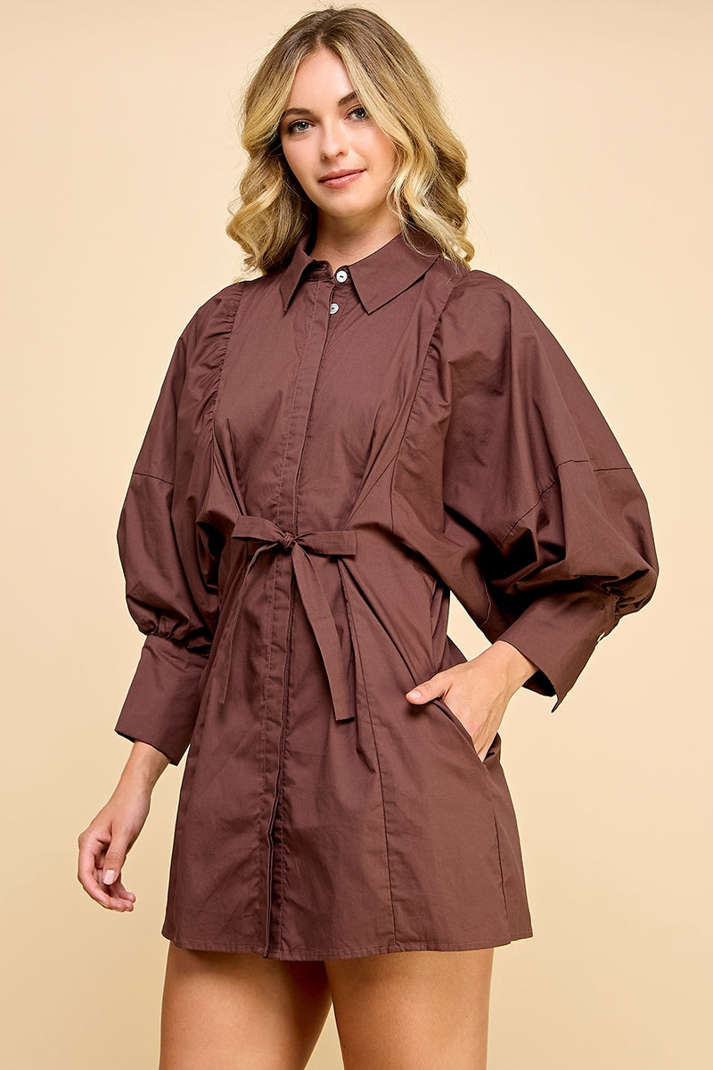 REMI245_BROWN