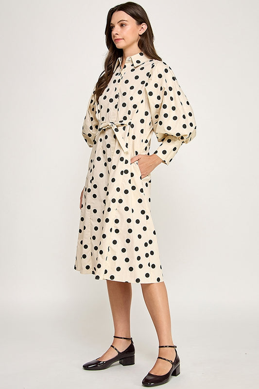 RD284-P_TAUPE POLKA