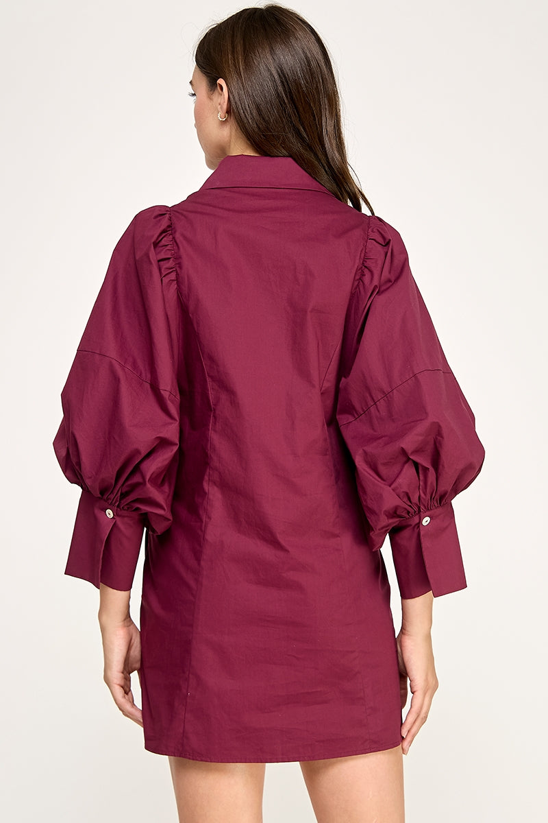 REMI245_WINE