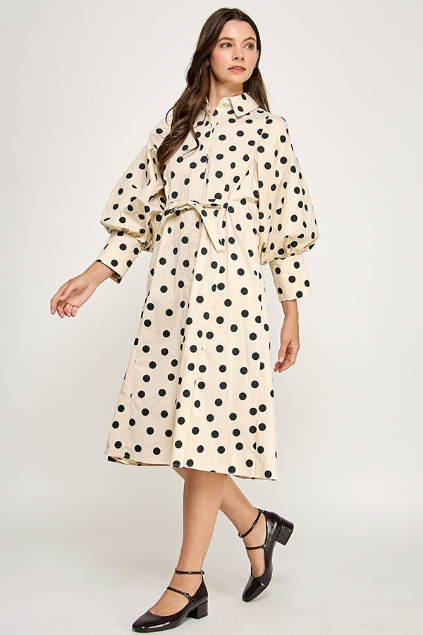 RD284-P_TAUPE POLKA
