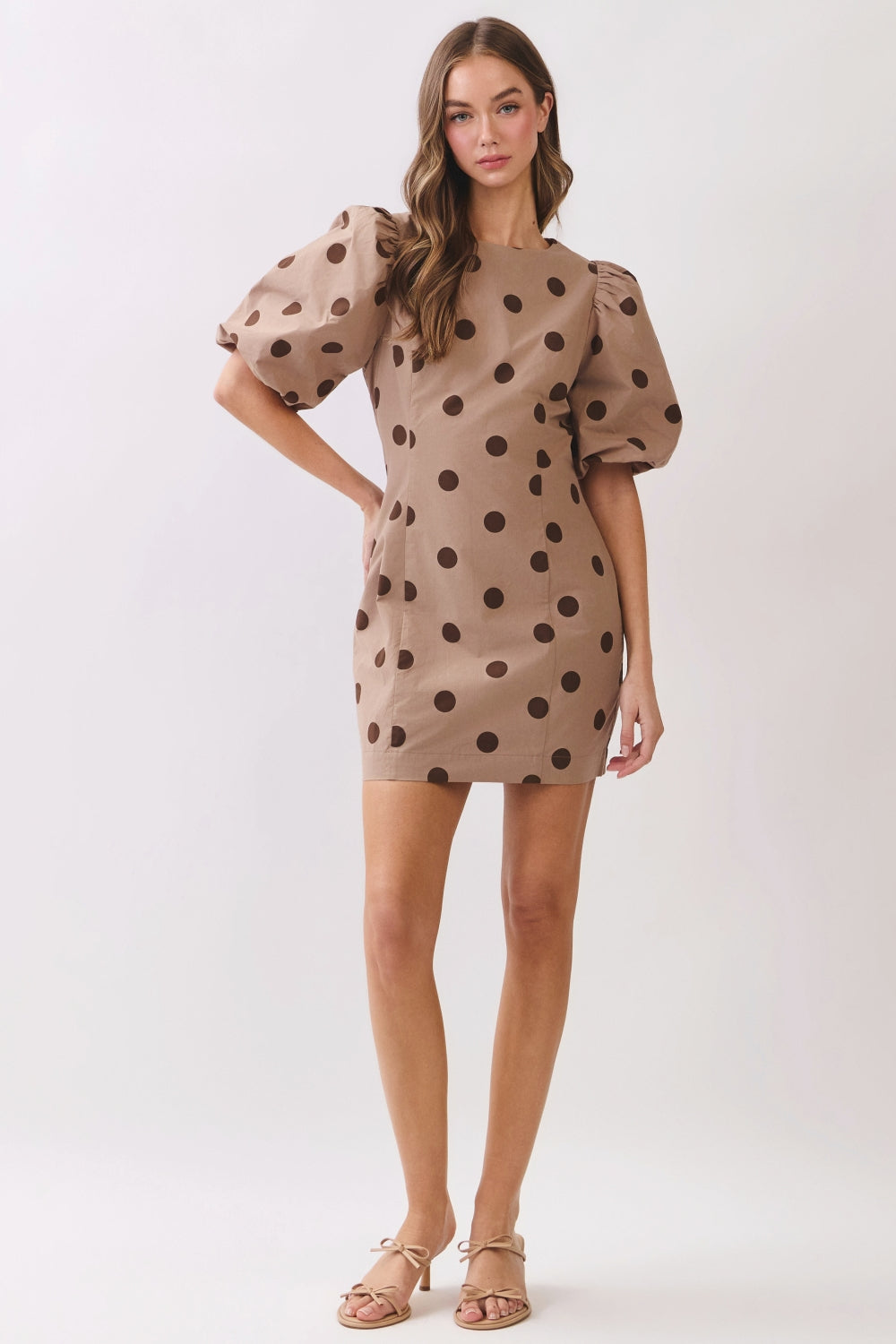 RD278_BROWN DOT