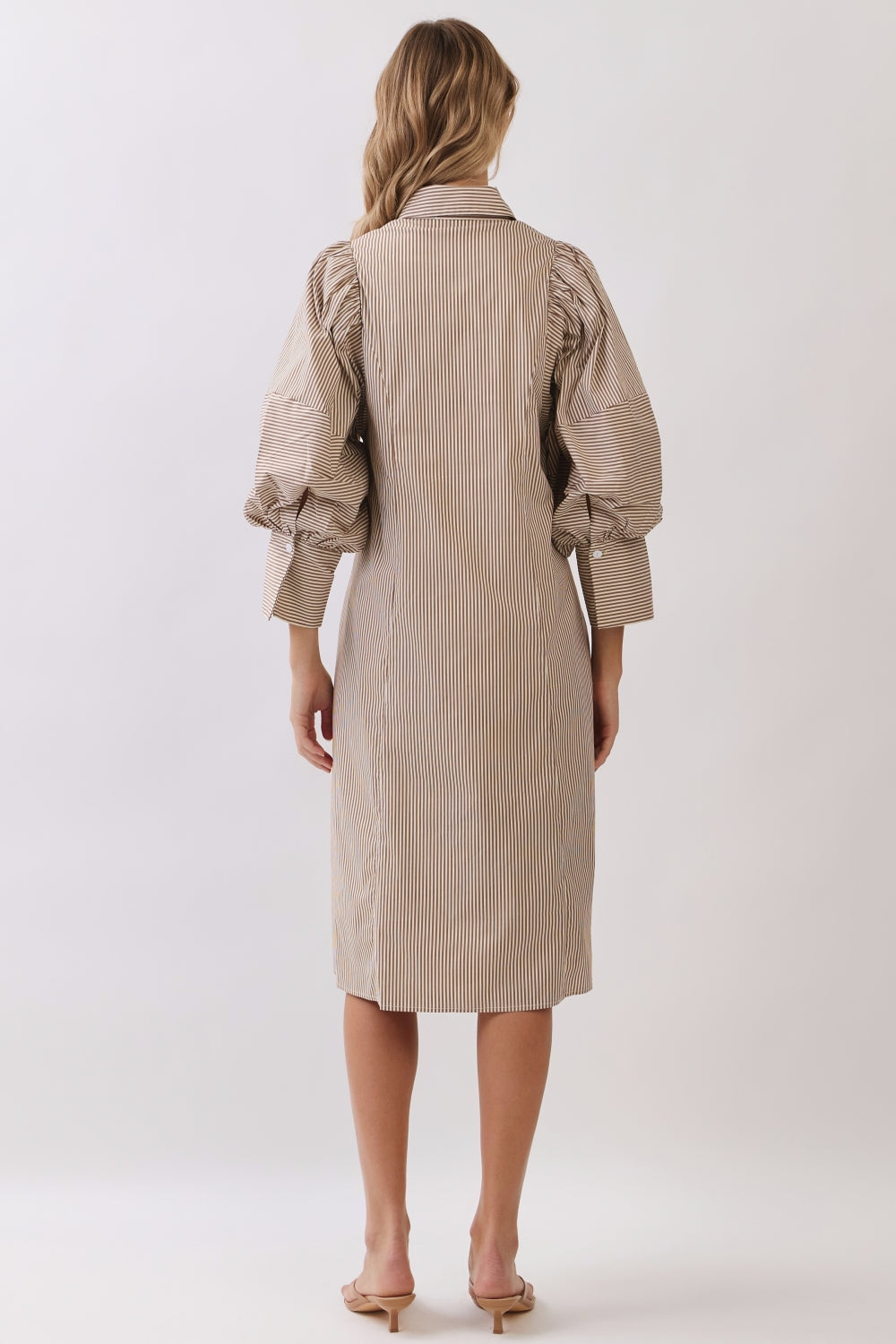 RD284-S_BROWN STRIPE